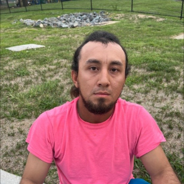 libsoftiktok tweet picture
