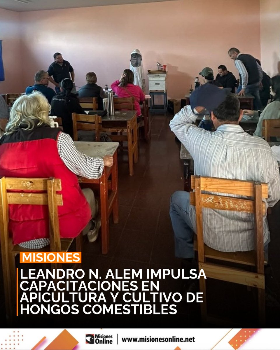 misionesonline's tweet photo. Leandro N. Alem impulsa el desarrollo productivo con capacitaciones. Se completó la fase 1 de apicultura 🐝 y se anuncia taller de hongos comestibles para el 30 de septiembre.
https://t.co/XzWgc0Z8CZ
#Alem #Desarrollo #Agro #Capacitacion https://t.co/NyYl0iwynT