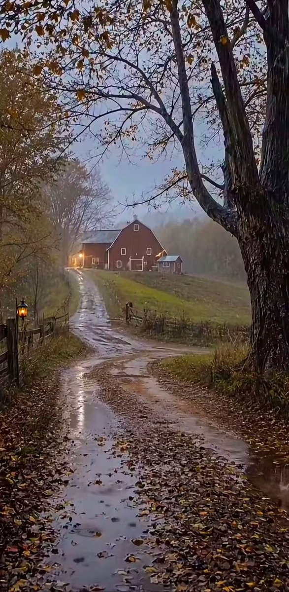 natureaest's tweet photo. Rainy Autumn day https://t.co/OThEfNLHYX