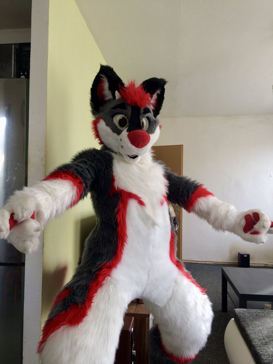 TaikuDee's tweet photo. It's hard to believe, but today is Taiku Drolf's tenth birthday! 🎉 This was the first picture I took of him 🥰 https://t.co/NiJUm15HkG