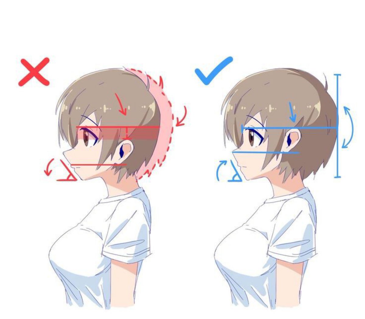 comixsenpai2005's tweet photo. Give your drawings a proper cranium. https://t.co/9sCrr3S2b9