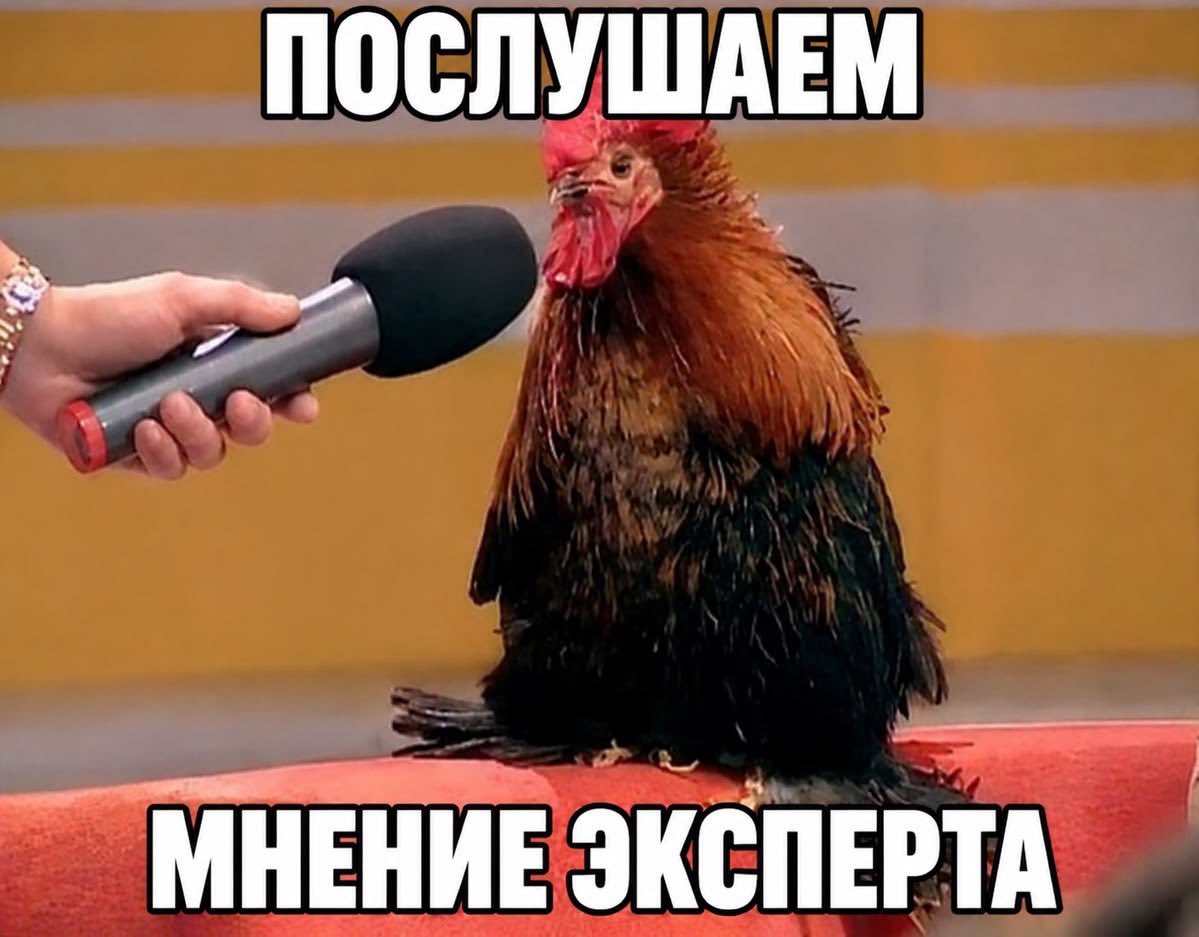 nanbreadxleb's tweet photo. @Sitwoohbjk база твиттеровских https://t.co/8B07bVAcYC