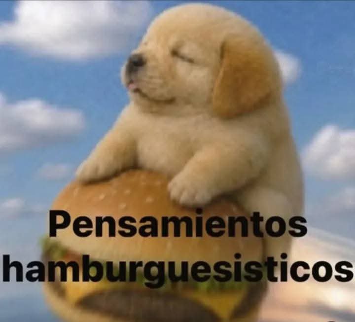 guadaaa_cg's tweet photo. Mándame una hamburguesa no ves que tengo https://t.co/KOSLaJnLYk
