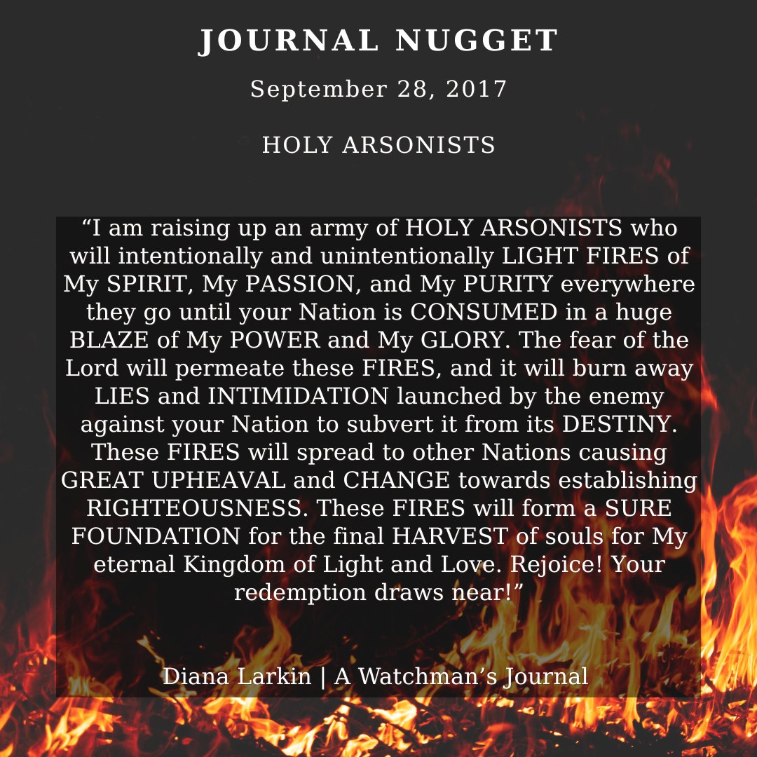 TheDianaLarkin's tweet photo. A powerful Journal Nugget from 2017 - never before published. 

We have become this word, Army of Light! 🔥

"Rejoice! Your redemption draws near!" https://t.co/vdypp6H6tf