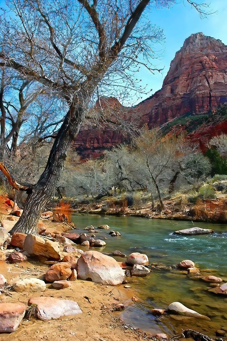 DesignWorld_x's tweet photo. Red rock, blue sky, bare cottonwoods, and a clear river winding through the canyon. Winter in the desert hits different. 🏜️ https://t.co/sZD0AEhyAY