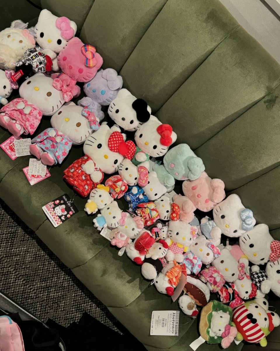 Paige_silly's tweet photo. 大人がぬいぐるみ好きだっていいじゃない。何歳になったって、このモフモフな可愛さを前にしたら一秒で少女に戻っちゃう。 https://t.co/fqduJyjNBz