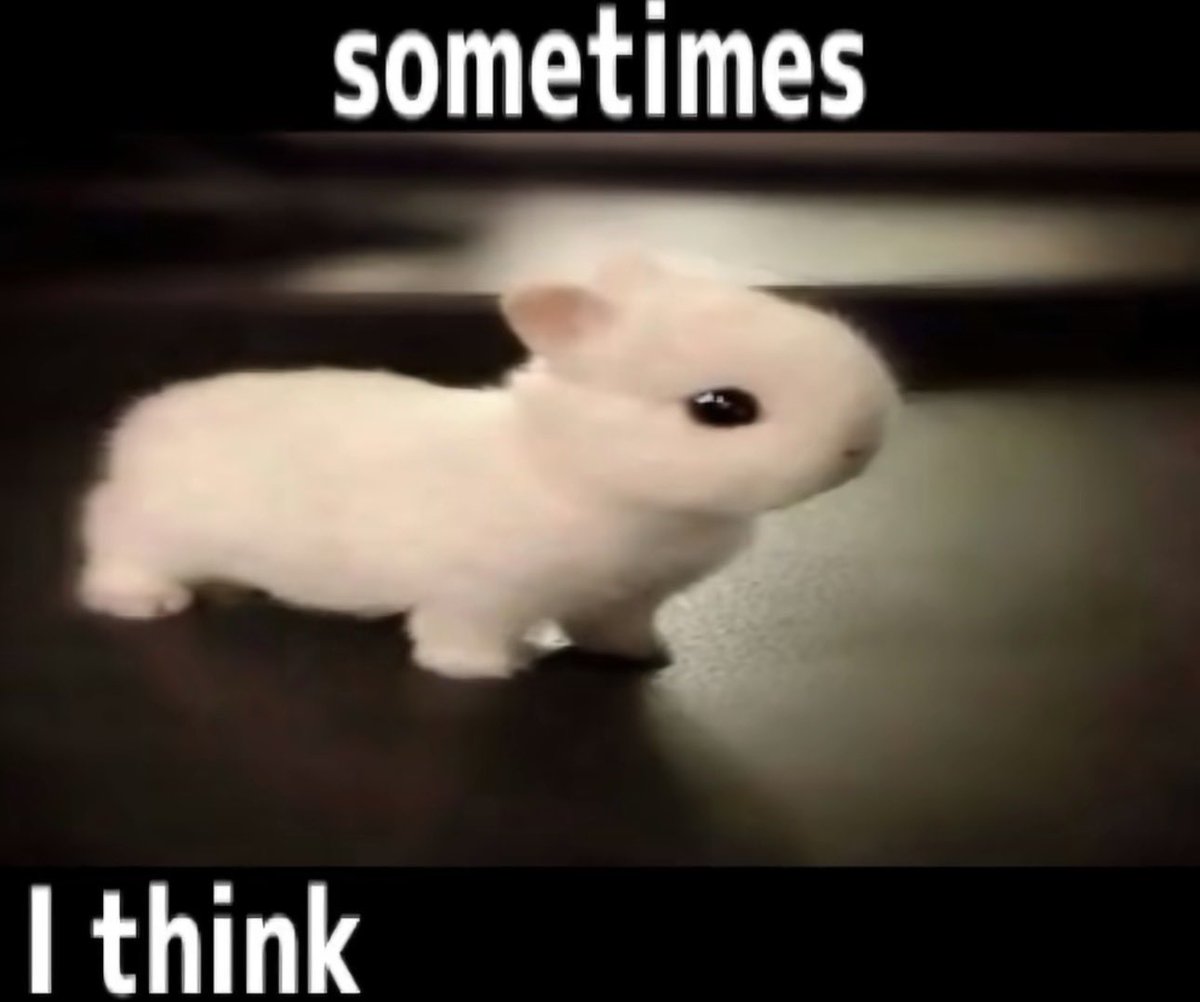 cuteeveilss's tweet photo. https://t.co/JOw3hIjmpv
