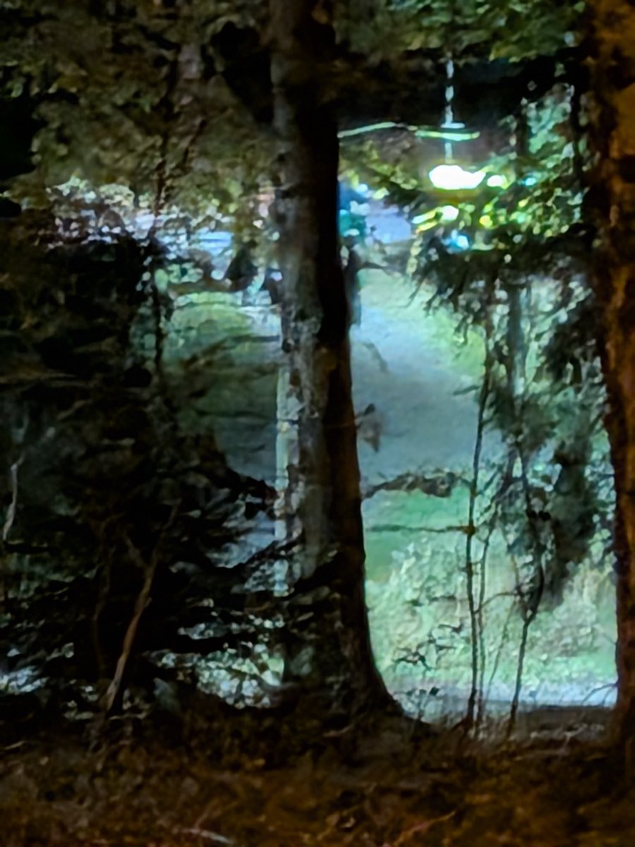 foidspo's tweet photo. there are teenagers blocking the exit from the forest. help https://t.co/jYNuSrczEh