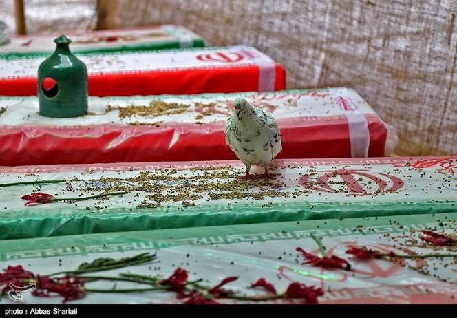 amyr45778's tweet photo. هر گوشه از این سرزمین، قصه‌ای از ایثار و فداکاری در دل خود دارد؛ قصه مردانی که نامشان 
با واژه شهید جاودانه شد
#یاد_یاران_جاجرم
#یاد_یاران https://t.co/Y8TYQLaAT0