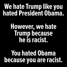 STEELE8647's tweet photo. @Eric_Schmitt OBAMA EXPOSED THE RACIST CUNTS JUST LIKE YOU. https://t.co/RIQypmc9HP