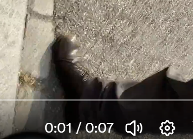 4321_Danny's tweet photo. @EppoTjuchem Draagt ook schoenen met stalen neuzen. Waarom draagt hij schoenen met stalen neuzen ? https://t.co/V0p4H4sDOv