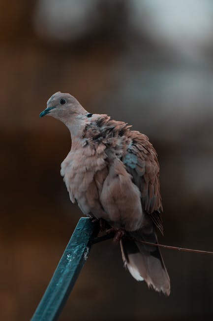 GabrielAllc0hv's tweet photo. أنا ممتن لل Divent خلال تبادل المتاح من تبادلك. المحتوى الخاص بك هو حافز للنمو الفكري. شكرًا لك! emil bizzard https://t.co/uLIphneXnJ