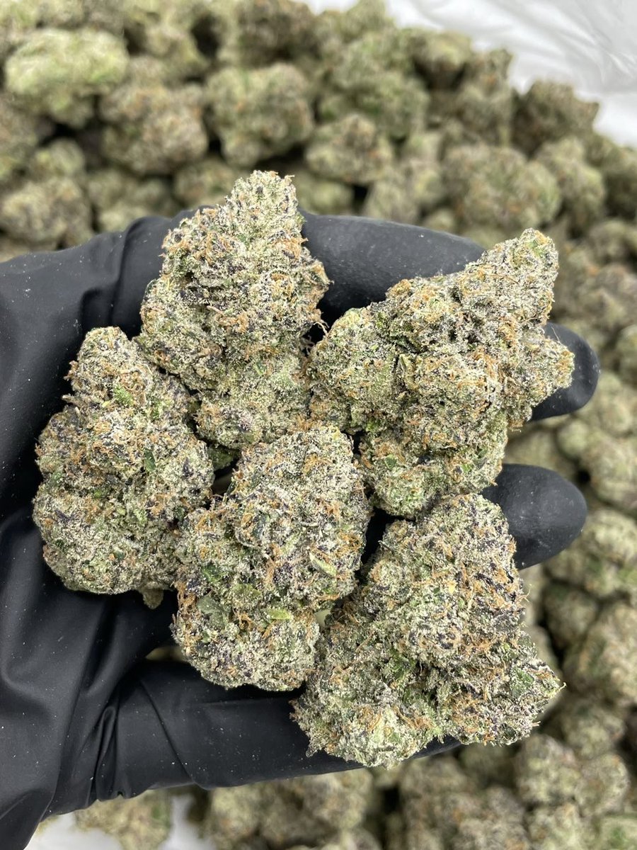 edge26429's tweet photo. Big league 
#atlplug #atlantaplug #gasin #atlga #atlantags #atlanta https://t.co/YBjJiETBku