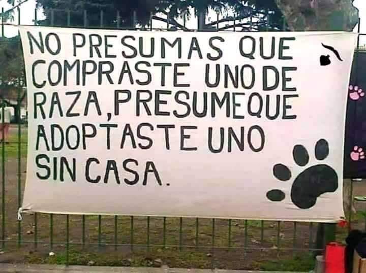 marq31995's tweet photo. Es lo mejor que te puede pasar en la vida https://t.co/Mwjx5Mkg3v