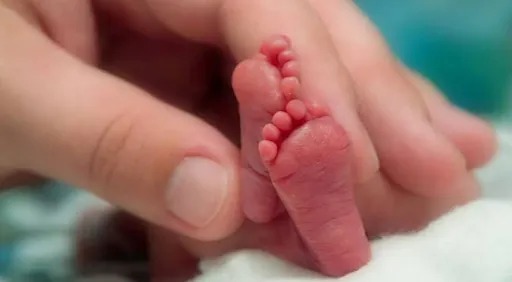 poplabmx's tweet photo. #BebésDeLaDroga 👶🏽 | ¿Qué sustancias llegan al cuerpo de un bebé durante el embarazo? Los registros muestran cocaína, marihuana, alcohol, opioides, sedantes, entre otras. Pero la información sigue fragmentada y los datos son incompletos.

https://t.co/5tsq5BAEXU https://t.co/Zqqupg1WU1
