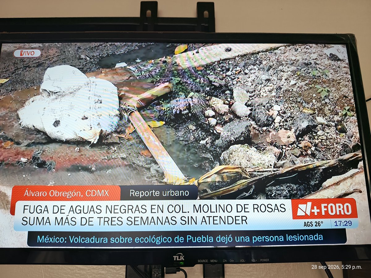 Ferzal73's tweet photo. En @nmasforo @nmas una reportera muy angustiada por la severa, preocupante fuga de agua residual en la #AlvaroObregon.
Pobrecilla si algún día tenga que cubrir alguna nota en #Chalco, #Ixtapaluca u otro similar donde se generan severos problemas de desbordes de aguas residuales. https://t.co/i9nDqK6E77