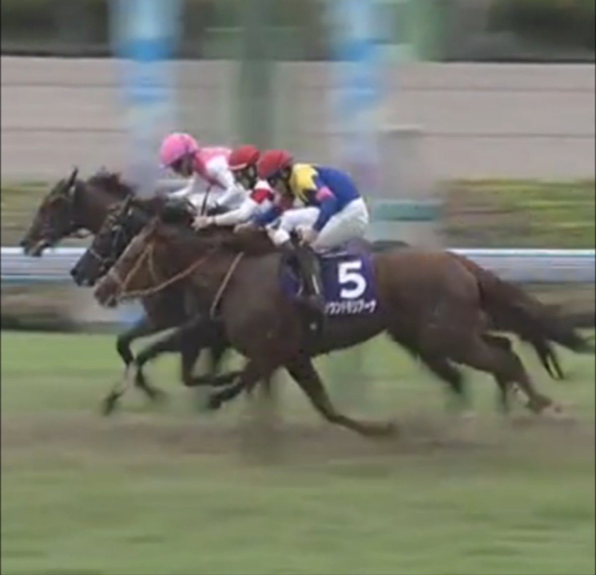 Volvo0777's tweet photo. 先日の Ｇ１ スプリンターズステークスで
ハナ差で２着なった 🐴ワールズエンドに
私の命名🐴ディスペランツァは
Ｇ２ アーリントンカップで
１馬身以上の差で 勝っていたので、
🐴ディスペランツァの脚が無事であれば
どこまでやれたか 観たかったです… https://t.co/emjCMI36G1