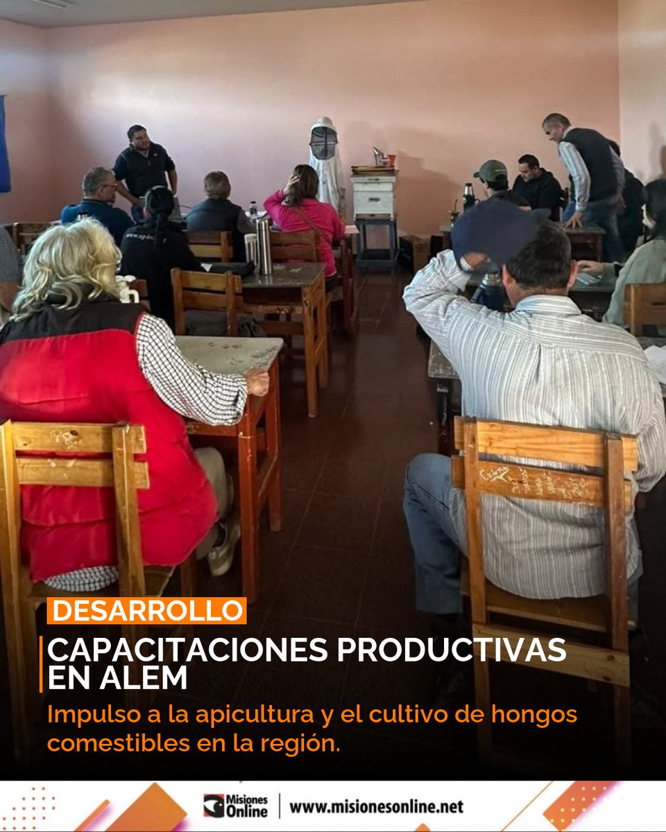 misionesonline's tweet photo. Leandro N. Alem fomenta el desarrollo productivo con capacitaciones en apicultura 🐝 y cultivo de hongos comestibles 🍄. Un nuevo taller se anuncia para el 30 de septiembre. Detalles: https://t.co/jiWAQ7EYSU #Alem #Capacitacion #Agro #Produccion https://t.co/9MpAkXXntL