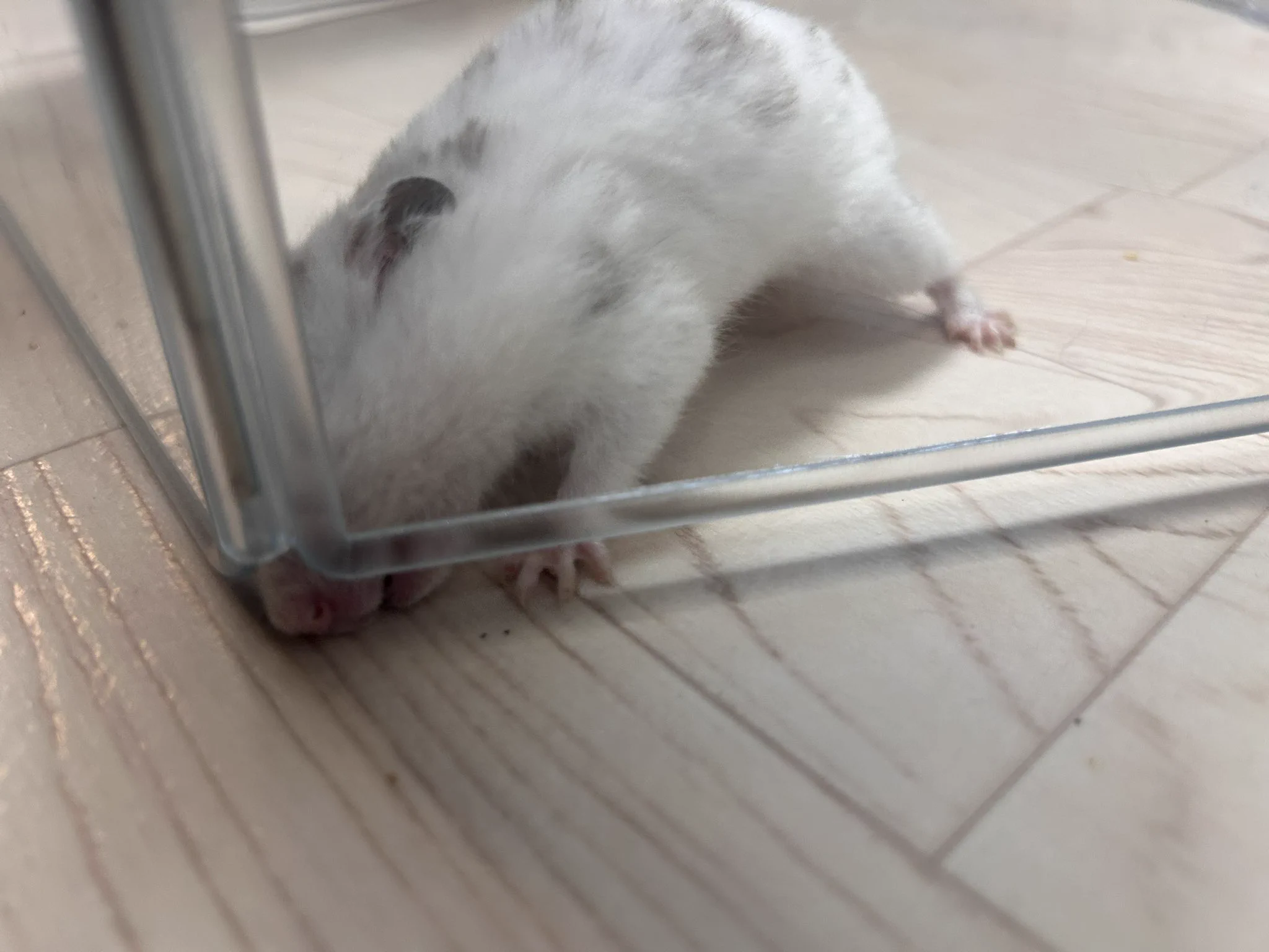 yuppi️໒꒱ on X: 