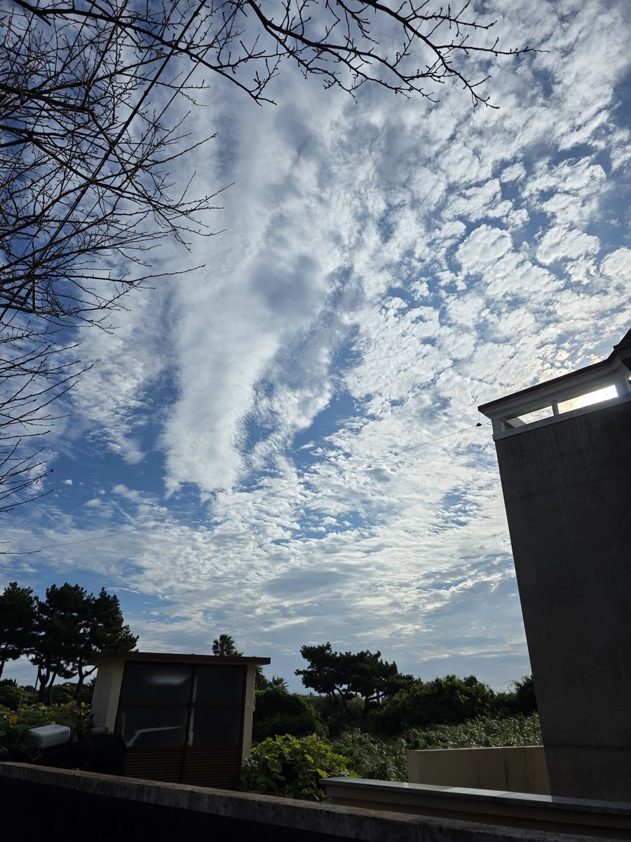 Moki7am's tweet photo. 하늘이 예쁘네요 https://t.co/UouoSJWlUL