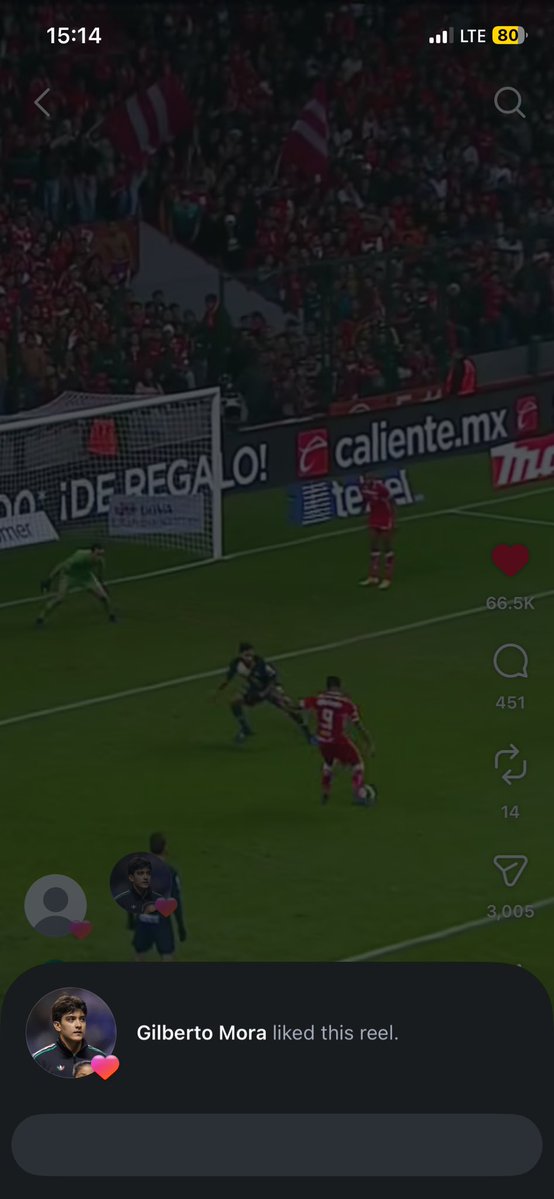 xhiram21's tweet photo. Que risa me dan los americanistas que genuinamente se hicieron ideas con que Gilberto Mora es americanista por dos likes de Instagram. No los culpo yo también buscaría de qué canteranos agarrarme si los más destacados de mi equipo en los últimos tiempos fueran el Mozumbito y Lara https://t.co/Hmf30ItdJ8