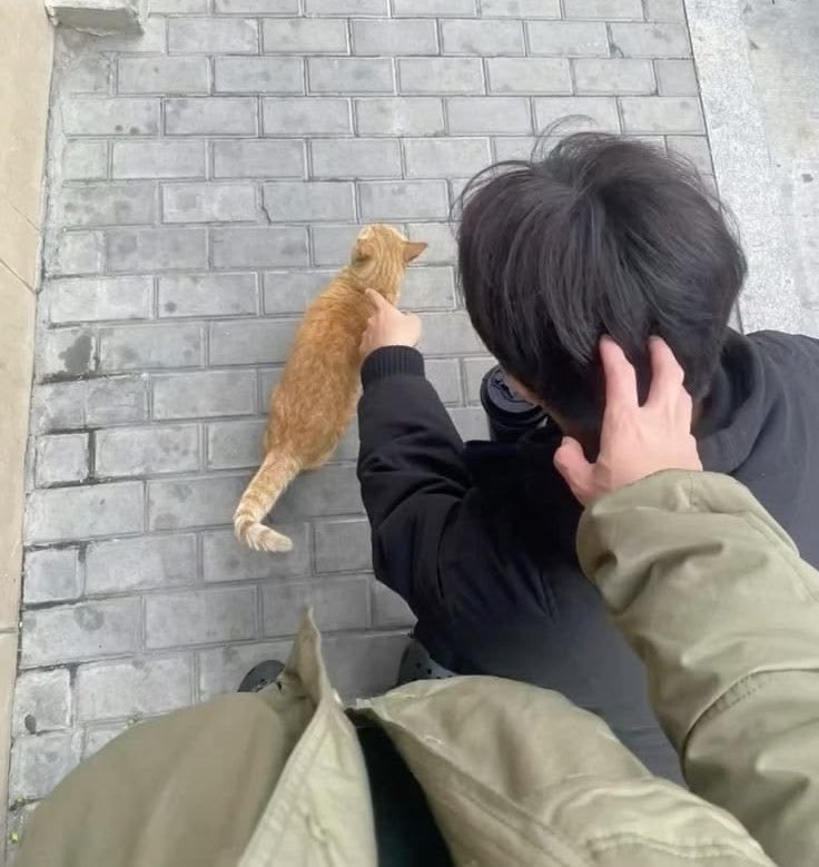 tokkipudding's tweet photo. this is the most minchan picture ever 😭😭 https://t.co/cMMZVJe6D6
