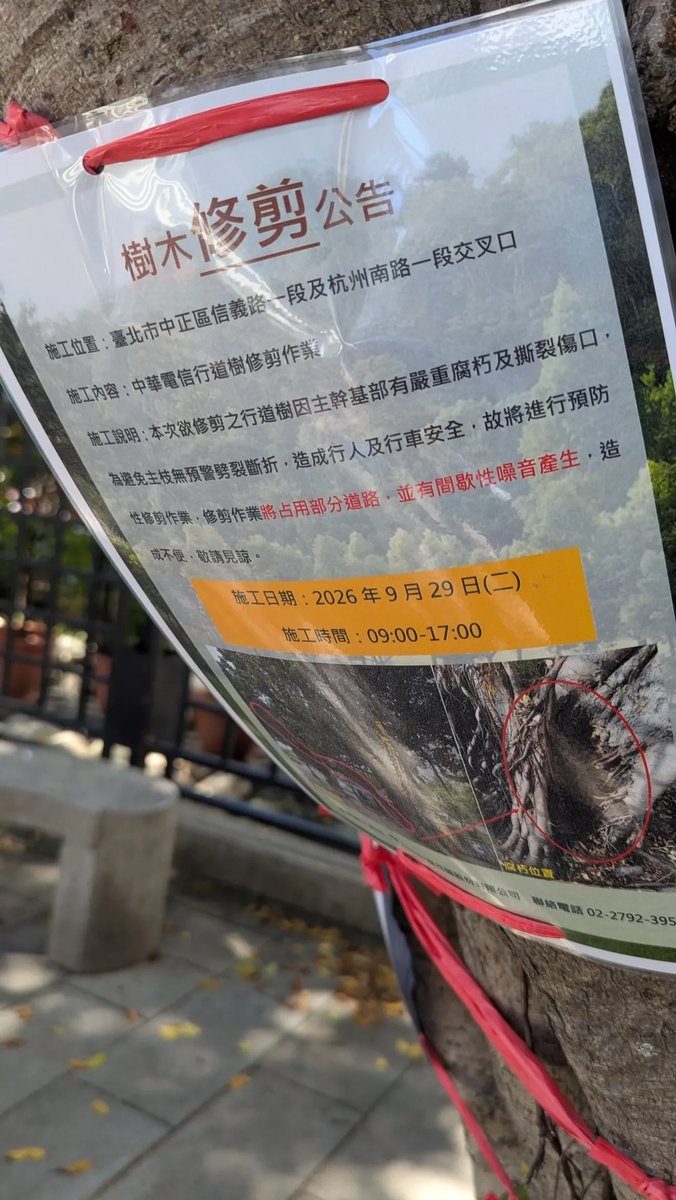 OttoHuang120's tweet photo. 位於 台北市 信義路杭州南路口、中正紀念堂對面、中華電信旁的這兩棵參天大樹
即將面臨被砍的命運。 https://t.co/ST7TzyURA5