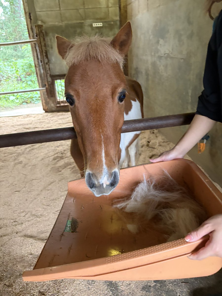 happy_ni1107's tweet photo. かみきりました🦞 https://t.co/Ht4n6uAQlp