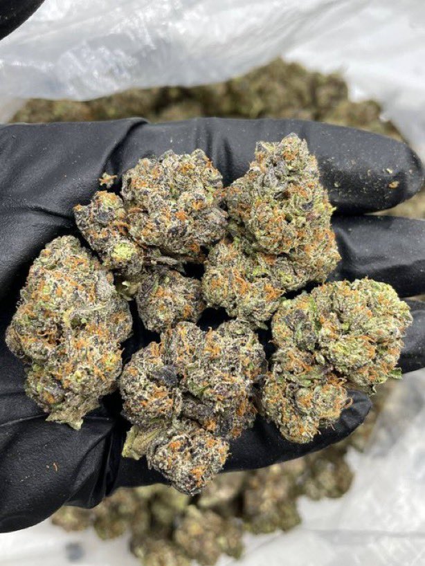 thuggerplugg103's tweet photo. Coco Puffs mixed lights
Unique gassy nose that smells like a mix of Bacio gelato and jokers Candy🔥
PREMIUM ZAZA 😮‍💨💯
mobile 🚚🚛and active for delivery round the clock
TAP IN‼️‼️

#Dallas #DTX #DallasFreaks #DallasMeetups #DallasMeets #ATX #dallascarts #dallasweed
#ATXweed #austinweed #dallasexotics #dallasdisposables #dallasplugs #dallasdrugs