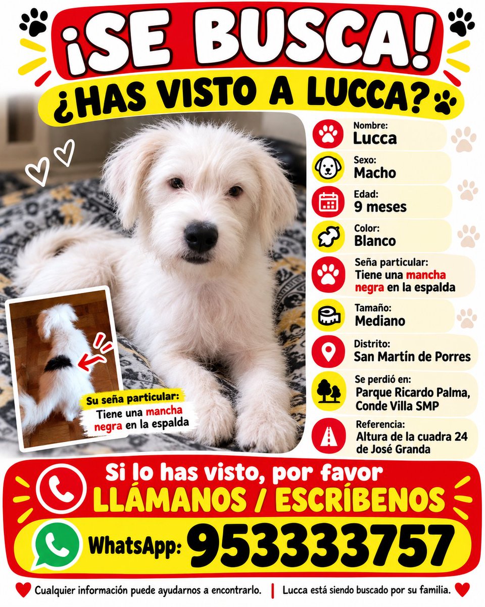PawFindr's tweet photo. Se busca a Lucca 🥺🙏 Amigos de San Martin de Porres ATENTOS 🚨🔊 COMPARTAN #PawFindr #MascotasPerdidas #AyudaAnimal #AyudemosAEncontrarlos https://t.co/GR9l5vMGGj