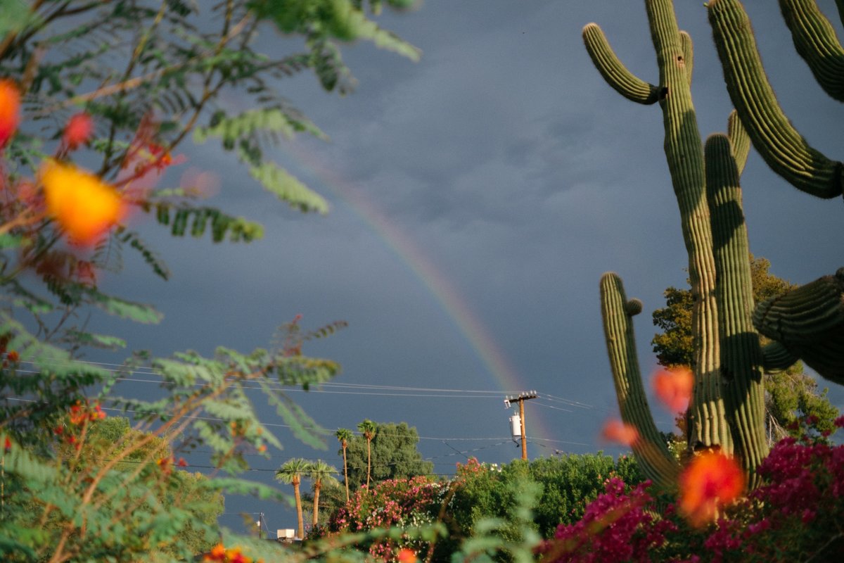 LoganSeibold's tweet photo. Scottsdale, Arizona. September 2026. Fujifilm XT-4. https://t.co/Jp0MAso97a