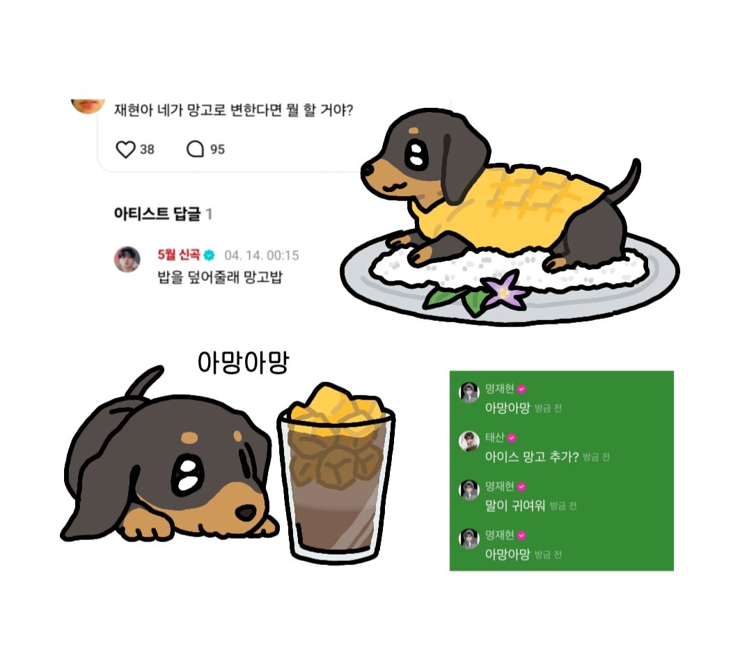 feverorcolumn's tweet photo. 띵스훈트는 망고를 좋아해 https://t.co/XNNZOgHKkf