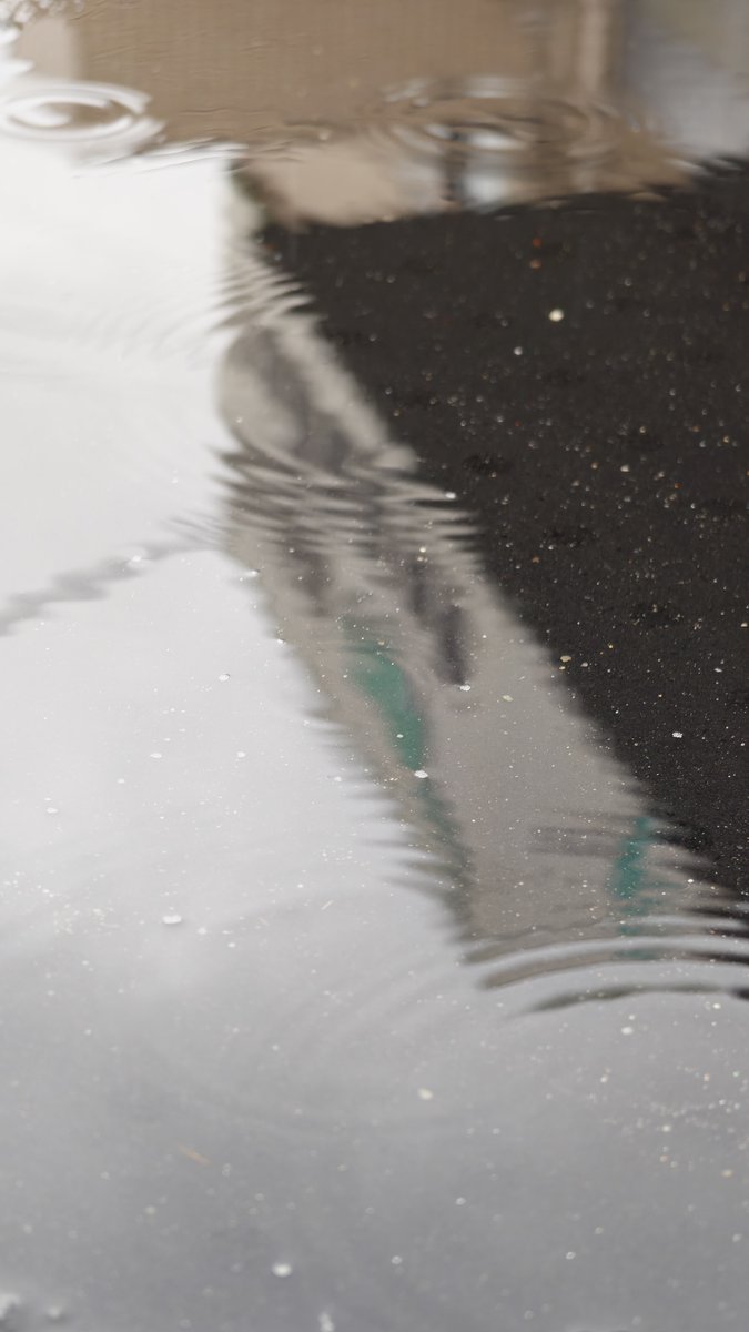 sanwabyora's tweet photo. おはわに🐊
＃東大阪 今日も雨☔

湿気はあるけど、最高気温21℃と快適～～😊
…でも、明日は晴れて一気に28℃まで上がるらしい😱☀️

寒暖差がすごいーー💦
体調崩さないように、みんな気をつけようね✨

今日もよろしくお願いします！
＃企業公式が毎朝地元の天気を言い合う https://t.co/MSB4tqd4Ez