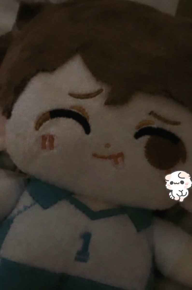 tartadequesomew's tweet photo. ke opinan de mi peluche de oikawa #haikyū jeje https://t.co/5ym2uFWK29