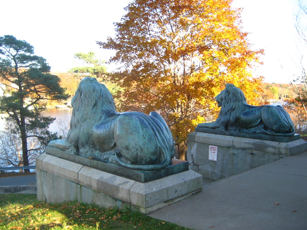ibgeocaching's tweet photo. A4: I wouldn't call this the best fall foliage I've seen while caching, but it's pics I could find on my laptop of fall foliage while caching, from back in 2021. It's a park in Halifax while running through the steps of a multi I hid. #USGeocachingHour https://t.co/df6UIr8xOe