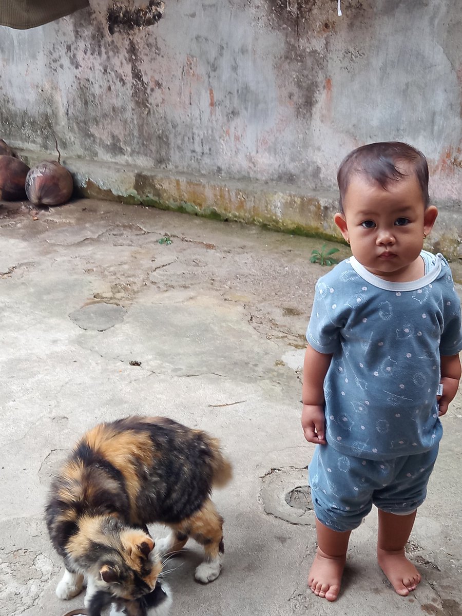 bvblycious's tweet photo. Bayik korep bersama Molly dan anak-anaknyaaaa. (Di halaman belakang rumah, dengan view dapur emak) https://t.co/Vabohw2ZbW