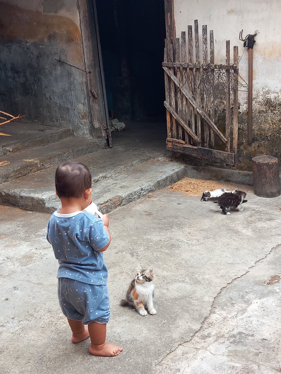 bvblycious's tweet photo. Bayik korep bersama Molly dan anak-anaknyaaaa. (Di halaman belakang rumah, dengan view dapur emak) https://t.co/Vabohw2ZbW