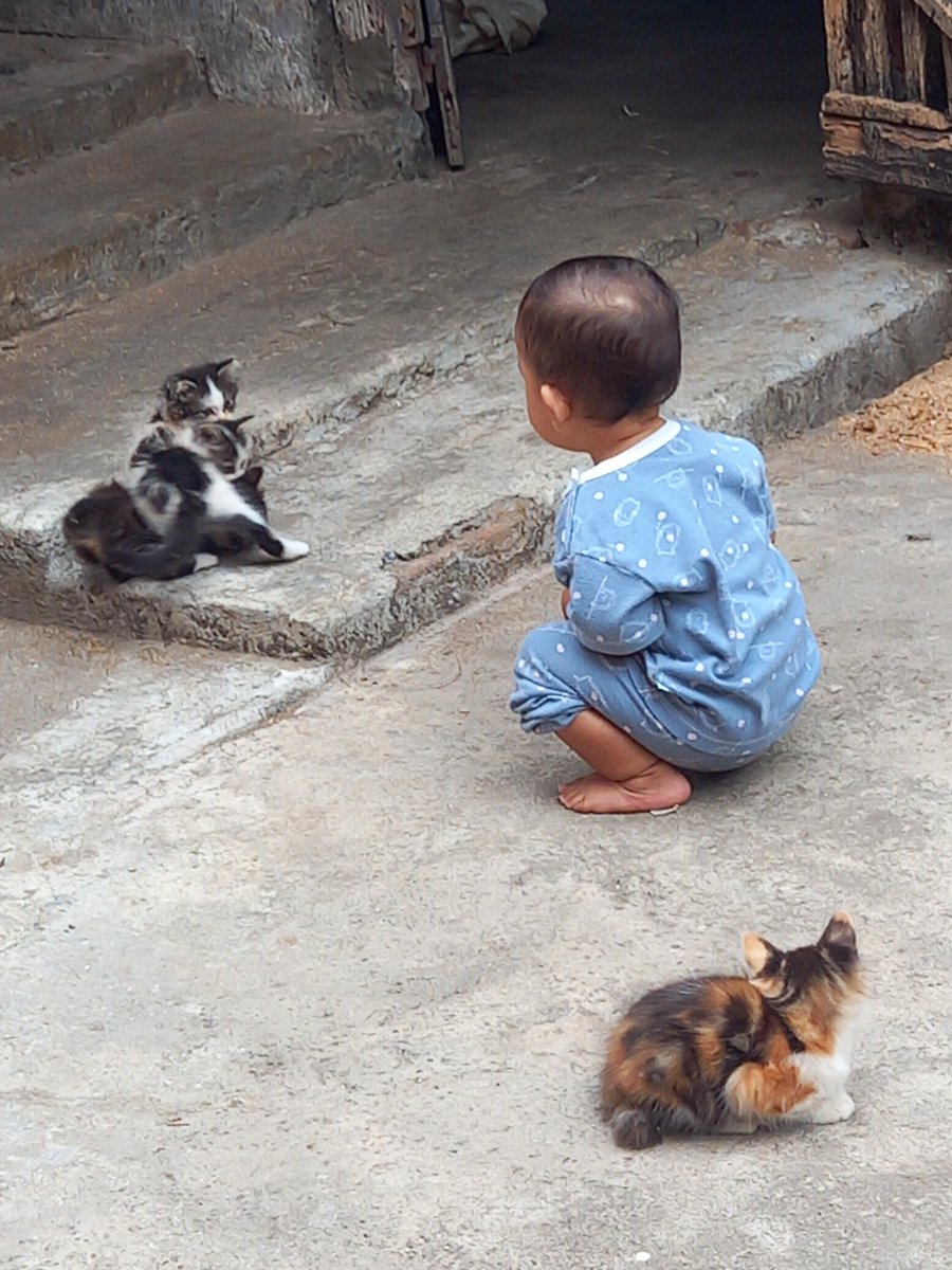 bvblycious's tweet photo. Bayik korep bersama Molly dan anak-anaknyaaaa. (Di halaman belakang rumah, dengan view dapur emak) https://t.co/Vabohw2ZbW