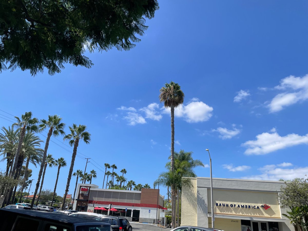 TAM15046189's tweet photo. どうすっかなぁ、将来
暗澹としたこの心情とは正反対やな、このカリフォルニアの青い空は。 https://t.co/WxO1REyO8d
