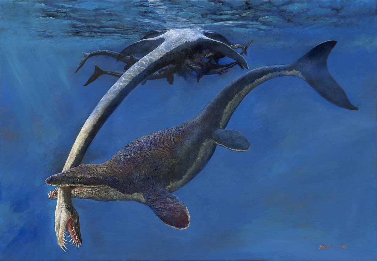 studiocorvo's tweet photo. 古生物の復元画のシリーズ。この頃はアクリで描いています。アケボノゾウ、モササウルス、シフゾウ、ミエゾウ。＃オリジナルアート ＃オリジナル作品 https://t.co/ZfXLpR4Nru