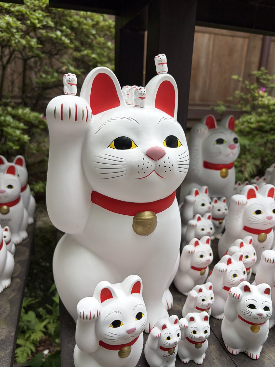 shironeko_7para's tweet photo. 招き猫の日。みんなに福来たれ〜。 https://t.co/UEQL7QMijP