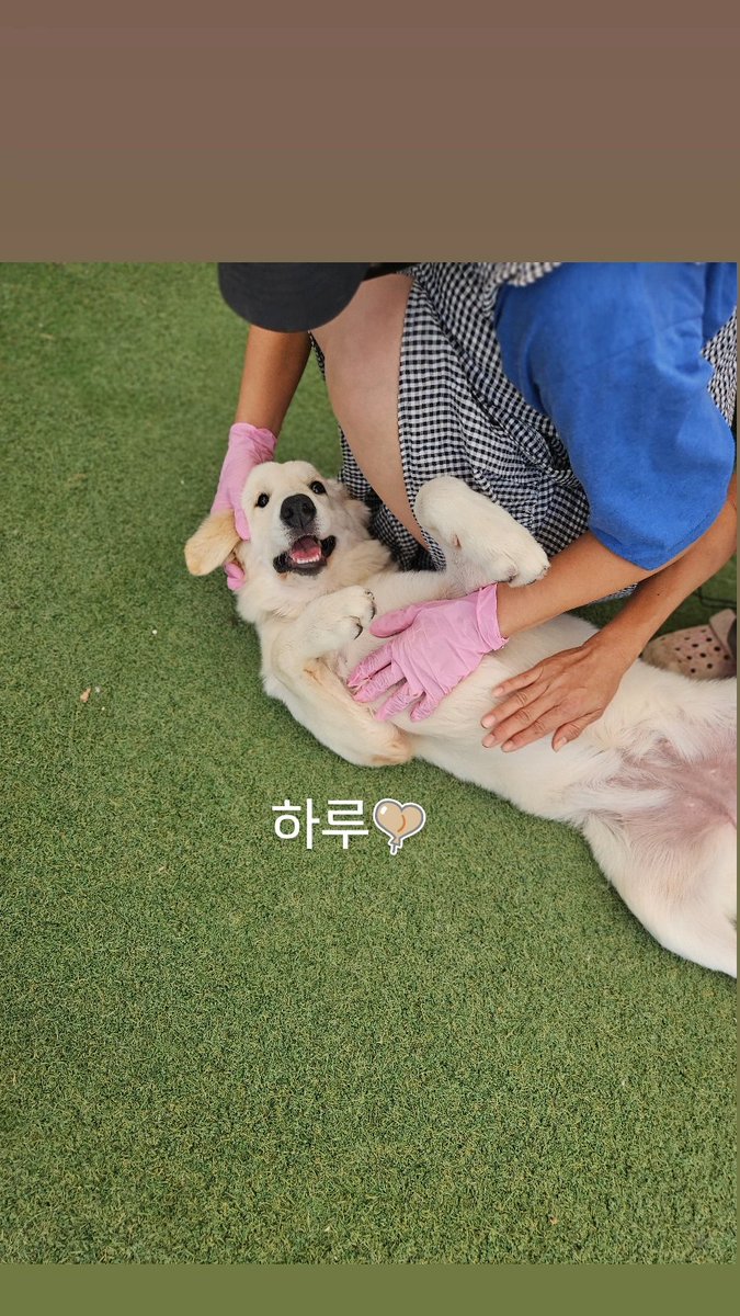 Hyeyounkim3's tweet photo. 안녕하세요. 엔젤프로젝트입니다.

이번 달 말까지 저희가 해결해야 할 금액이 약 1,600만원에 달합니다.

정기후원으로 매달 고정적으로 발생하는 비용을 감당하기에도 턱없이 부족한 상황에서, 최근 구조 활동이 이어지며 병원비와 위탁비, 훈련비 등 지출이 크게 늘었습니다.

일일이 모든 구조 상황을 적자면 한도 끝도 없지만, 최근 저희가 올린 게시물만 보셔도 얼마나 많은 아이들을 구조하고 치료하고 있는지 아실 거라 생각합니다.

지금은 병원비, 급여, 위탁비, 훈련비, 월세까지 어느 하나 급하지 않은 곳이 없습니다.

[ 현재 해결해야 할 금액 ]

* 사무실 월세 63만원
* 봉식이 훈련비 55만원
* A 위탁처 180만원
* B 위탁처 25만원
* C 위탁처 50만원
* D 위탁처 600만원
* B 병원 미납금 약 350만원
* C 병원 미납금 80만원
* 미지급 직원 급여 약 220만원

총 약 1,600만원

저희도 오늘 하루에 이 금액을 모두 해결할 수 있다고 생각하지 않습니다. 하지만 오늘 500만원만이라도 모인다면, 당장 급한 곳부터 해결하며 큰 고비를 넘길 수 있습니다.

큰 금액이 아니어도 괜찮습니다. 만원, 2만원의 작은 후원이 모이면 아이들을 지킬 수 있습니다.

이번 달도 아이들을 포기하지 않고 끝까지 책임질 수 있도록 저희에게 힘을 보태주세요. 

기업은행 사단법인 엔젤프로젝트 289 130456 04 018 기부금영수증 가능단체 입니다