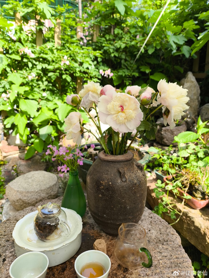 k_oucetk_78_d39's tweet photo. The quiet of the yard is perfect for a cup of tea, I took the clay jar I bought and leaned against the chair, enjoying this cozy and peaceful moment. https://t.co/m4QbF7mnQ3