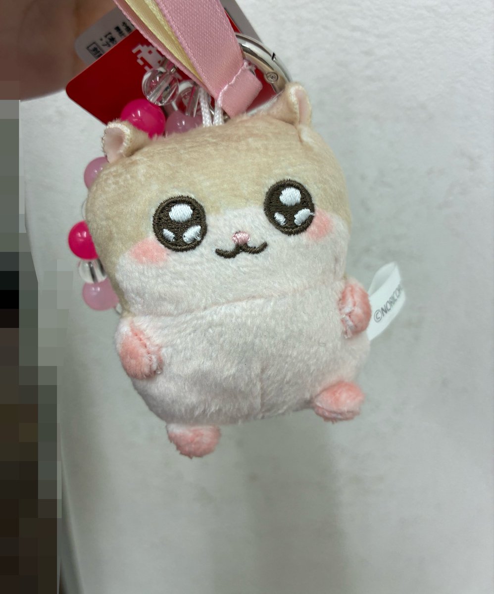 a_pe_dao's tweet photo. UFOキャッチャーのお兄さん優しすぎるし、隣で一緒に頑張ったお姉さんと取れた時にハイタッチしたの！かあいすぎる♪♪
 #こびはむ https://t.co/32gLPD4ukN