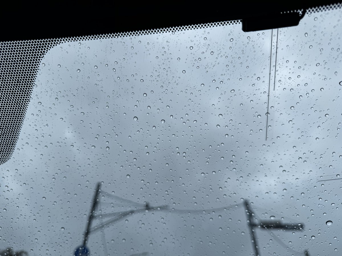 Shanti_Surge's tweet photo. よくもまぁこうも毎日毎日雨が降続くもんだなぁ〜
イヤんなっちゃうねぇ
おはようございます https://t.co/snL2THRhNV