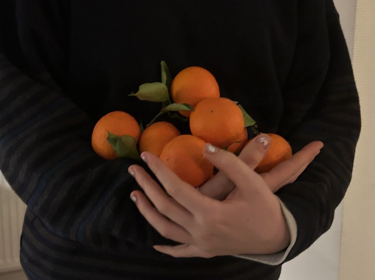 xitnq's tweet photo. اليوسفي🍊🍊🍊 https://t.co/8YYdbwEoA8
