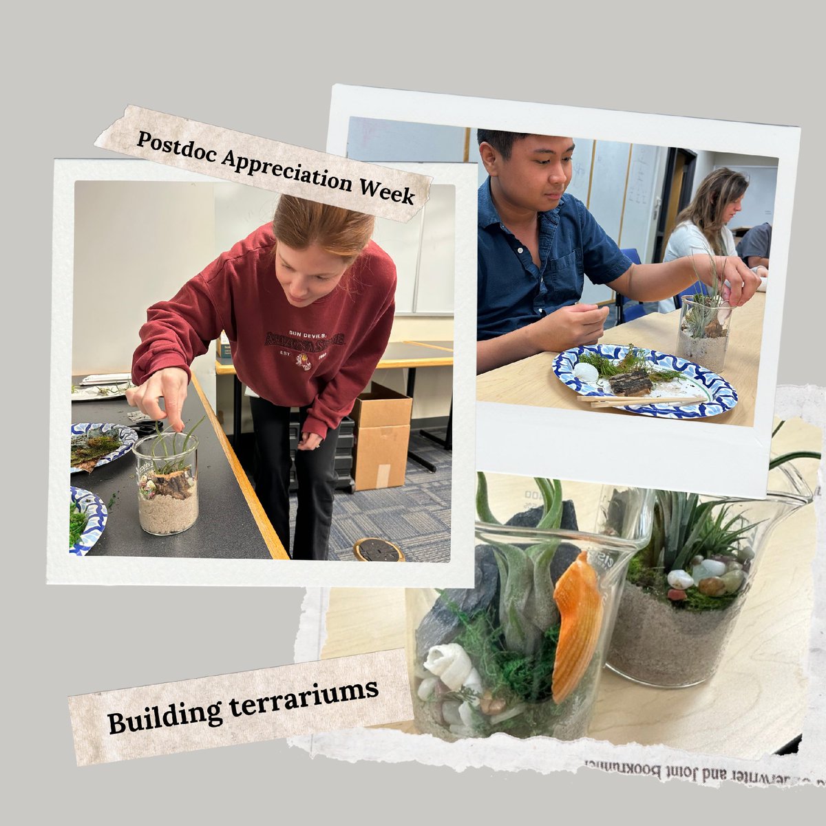 TGenResearch's tweet photo. Our postdocs found a unique way to bring life to their workspaces... Each made their own terrarium to out of beakers 🌱 👨🏽‍🔬 🧫 Very clever. 

#TGen #postdoc #fyp https://t.co/HYlEBTyx0o