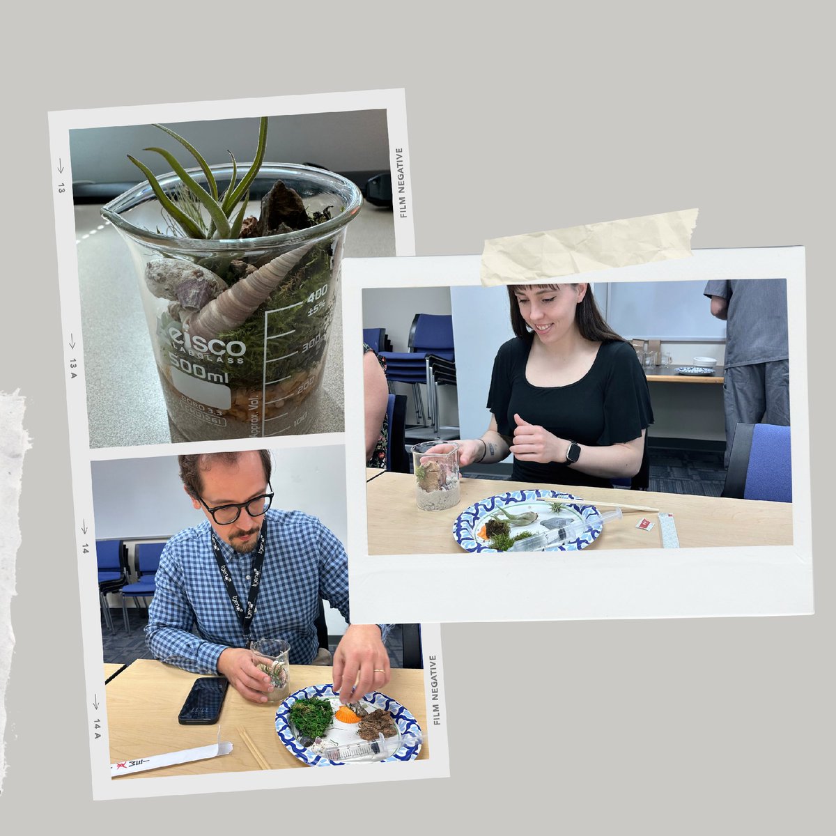TGenResearch's tweet photo. Our postdocs found a unique way to bring life to their workspaces... Each made their own terrarium to out of beakers 🌱 👨🏽‍🔬 🧫 Very clever. 

#TGen #postdoc #fyp https://t.co/HYlEBTyx0o