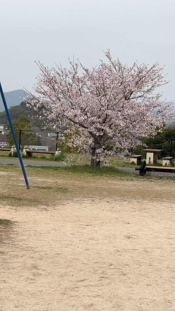 ROMATSUBAKI's tweet photo. 激混出勤中_(-ω-_[▓▓]

最近混んでないなぁって日がない笑
昨日も1時間半かかったとゆう。。笑

明日はおやすみいただいてます♡
師匠ゴリゴリはがしdayですΣ(◉౪◉ )
先々週サボったから恐怖😱

本日は私がしっかりゴリゴリします🦍笑
お待ちしてますね💕︎ https://t.co/9NtbZ050Lu