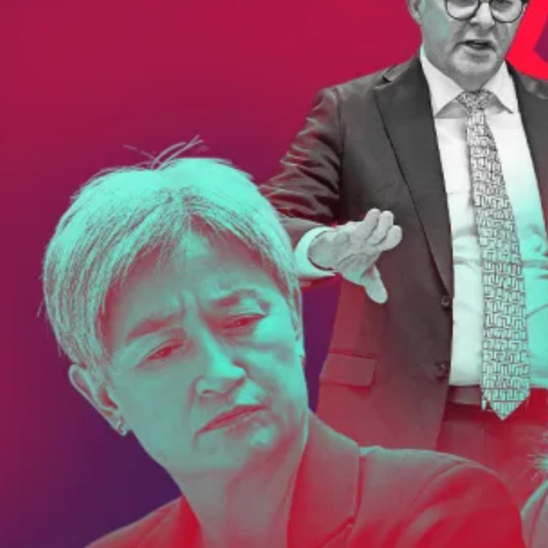 Ausbobsmit's tweet photo. Labor is handing out an average of $100 million per week on foreign aid. They've done this since the day they got elected in 2022. 

$100 million bucks per week, every week

Penny wong loves this money, it's unaccountable.  Penny has been syphoning it off to Gaza. Penny is a disgrace,  she too is a career parasite that has forgotten who she serves.